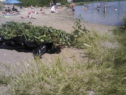 На столичном пляже обнаружили утопленника (ФОТО) (фото) - фото 1 На столичном пляже обнаружили утопленника (ФОТО) (фото) - фото 1