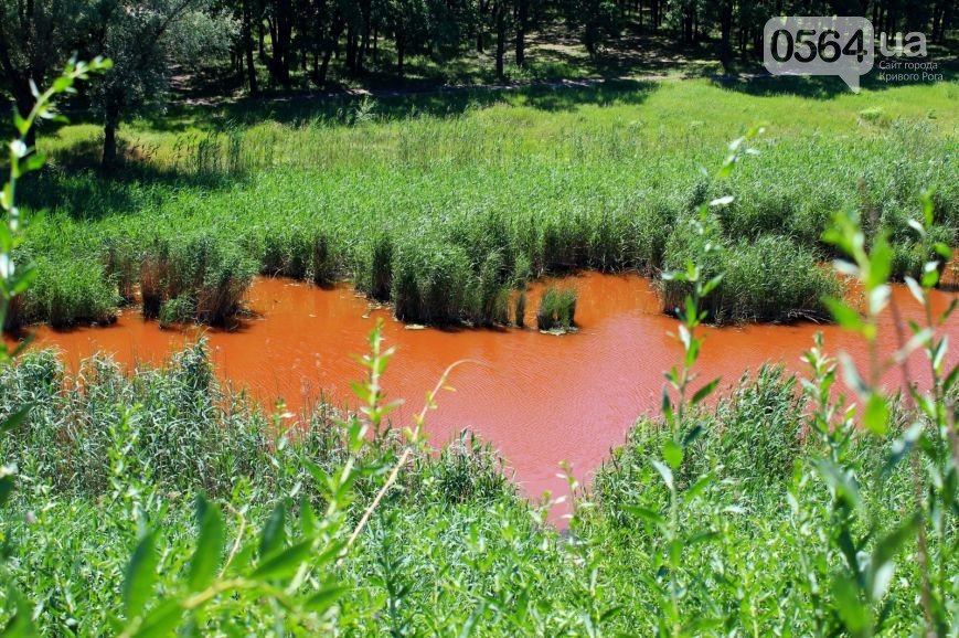 В Кривом Роге: в детсаду на ребенка упала лестница, горела свалка, река Саксагань стала красной, а нардеп ВР договаривался о покупке оружия (фото) - фото 2 В Кривом Роге: в детсаду на ребенка упала лестница, горела свалка, река Саксагань стала красной, а нардеп ВР договаривался о покупке оружия (фото) - фото 2