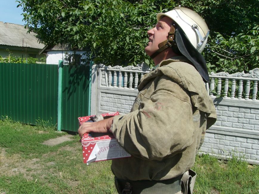Смоліне: рятувальники допомогли пташеняті, яке випало з гнізда (фото) - фото 1 Смоліне: рятувальники допомогли пташеняті, яке випало з гнізда (фото) - фото 1