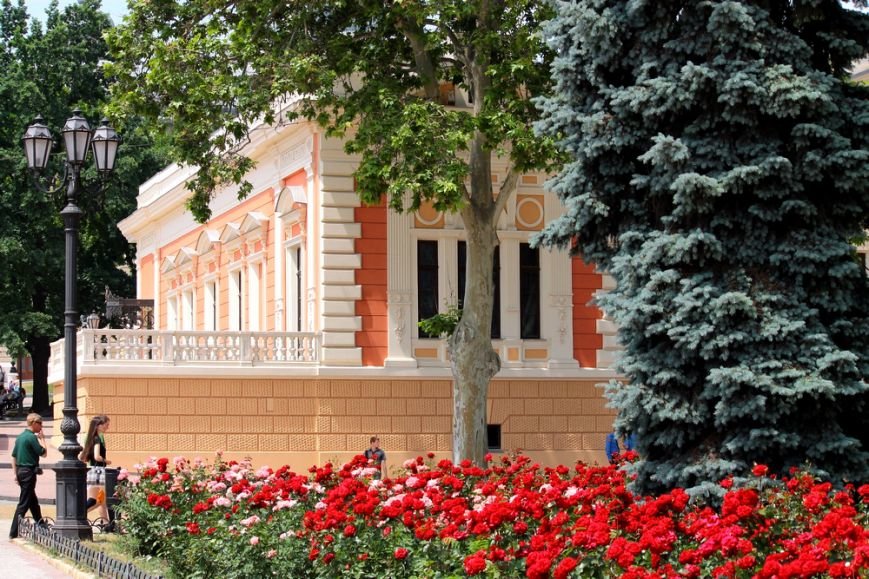 світлинка 544 світлинка 544