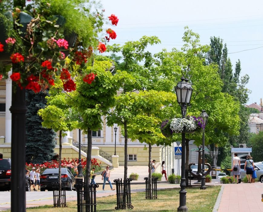 світлинка 551 світлинка 551