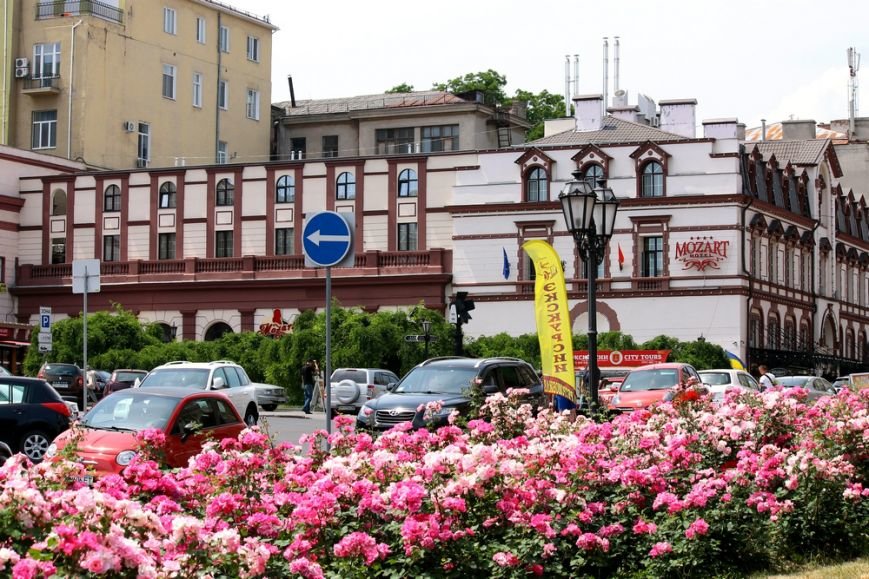 світлинка 553 світлинка 553
