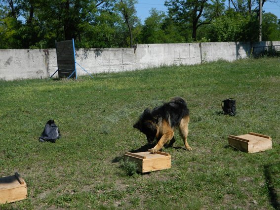 Кіровоградські правоохоронці організували екскурсію для дітей з школи-інтернату та родин переселенців. ФОТО (фото) - фото 1 Кіровоградські правоохоронці організували екскурсію для дітей з школи-інтернату та родин переселенців. ФОТО (фото) - фото 1