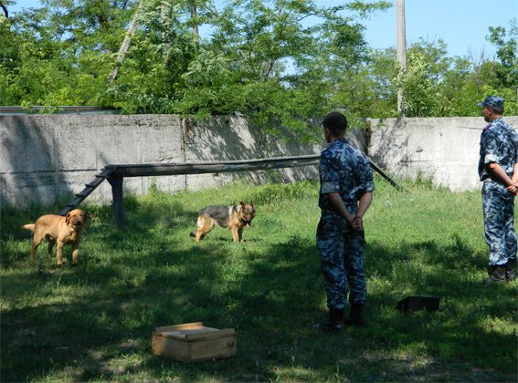 Кіровоградські правоохоронці організували екскурсію для дітей з школи-інтернату та родин переселенців. ФОТО (фото) - фото 1 Кіровоградські правоохоронці організували екскурсію для дітей з школи-інтернату та родин переселенців. ФОТО (фото) - фото 1
