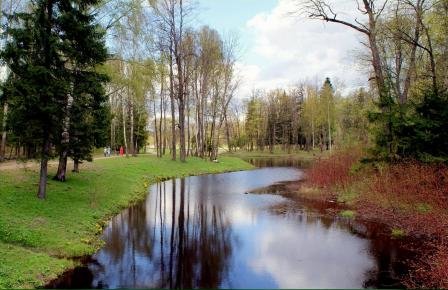 пруды4 пруды4