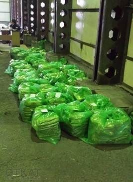 Ильичевск бьет рекорды: задержана самая большая в Украине партия героина – 500 кг (+ВИДЕО) (фото) - фото 1 Ильичевск бьет рекорды: задержана самая большая в Украине партия героина – 500 кг (+ВИДЕО) (фото) - фото 1