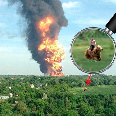 Путин на медведе сжег нефтебазу, чё творится с Пашей Губаревым, жара и философский парень - вспоминаем фотожабы недели (фото) - фото 12