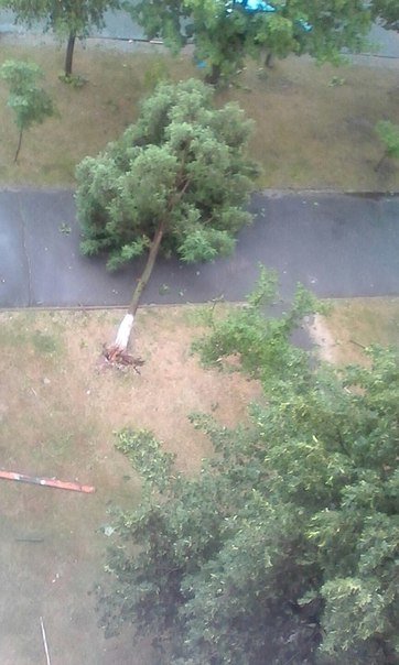 Фотофакт: в воскресенье Гомель «накрыло» дождем → http://odsgomel.org/rus/news/gomel/57315/ (фото) - фото 17 Фотофакт: в воскресенье Гомель «накрыло» дождем → http://odsgomel.org/rus/news/gomel/57315/ (фото) - фото 17