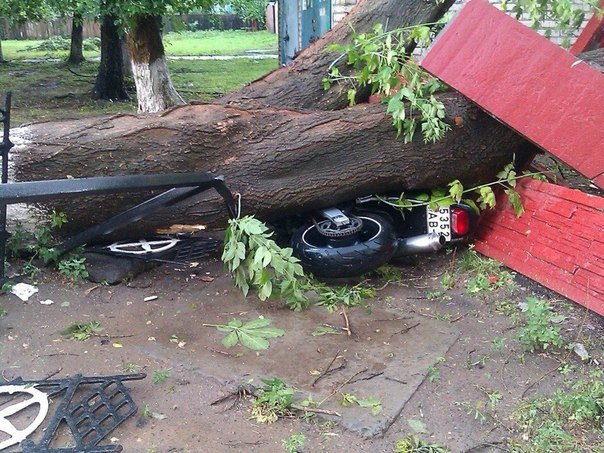 Фотофакт: в воскресенье Гомель «накрыло» дождем → http://odsgomel.org/rus/news/gomel/57315/ (фото) - фото 43 Фотофакт: в воскресенье Гомель «накрыло» дождем → http://odsgomel.org/rus/news/gomel/57315/ (фото) - фото 43