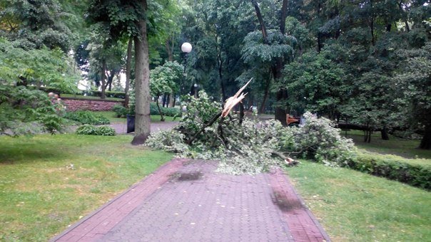 Фотофакт: в воскресенье Гомель «накрыло» дождем → http://odsgomel.org/rus/news/gomel/57315/ (фото) - фото 22 Фотофакт: в воскресенье Гомель «накрыло» дождем → http://odsgomel.org/rus/news/gomel/57315/ (фото) - фото 22