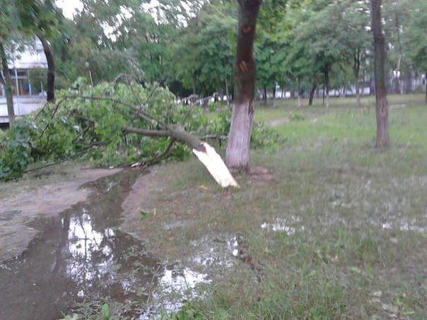 Фотофакт: в воскресенье Гомель «накрыло» дождем → http://odsgomel.org/rus/news/gomel/57315/ (фото) - фото 15 Фотофакт: в воскресенье Гомель «накрыло» дождем → http://odsgomel.org/rus/news/gomel/57315/ (фото) - фото 15