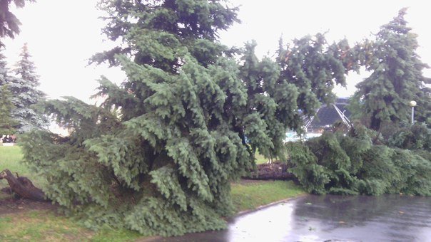 Фотофакт: в воскресенье Гомель «накрыло» дождем → http://odsgomel.org/rus/news/gomel/57315/ (фото) - фото 25 Фотофакт: в воскресенье Гомель «накрыло» дождем → http://odsgomel.org/rus/news/gomel/57315/ (фото) - фото 25