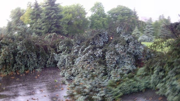 Фотофакт: в воскресенье Гомель «накрыло» дождем → http://odsgomel.org/rus/news/gomel/57315/ (фото) - фото 24 Фотофакт: в воскресенье Гомель «накрыло» дождем → http://odsgomel.org/rus/news/gomel/57315/ (фото) - фото 24