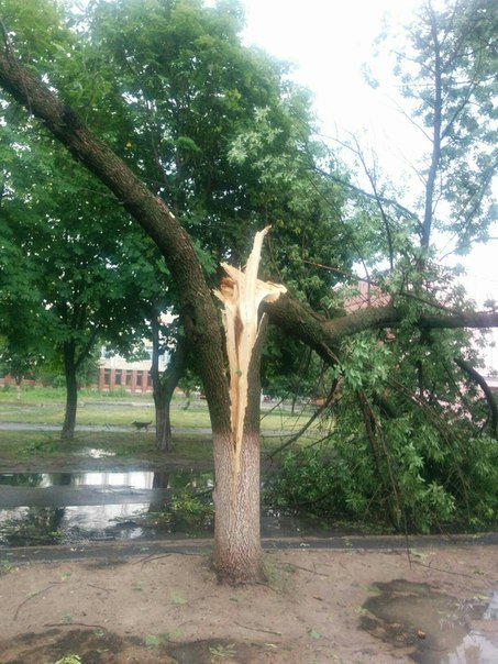Фотофакт: в воскресенье Гомель «накрыло» дождем → http://odsgomel.org/rus/news/gomel/57315/ (фото) - фото 29 Фотофакт: в воскресенье Гомель «накрыло» дождем → http://odsgomel.org/rus/news/gomel/57315/ (фото) - фото 29