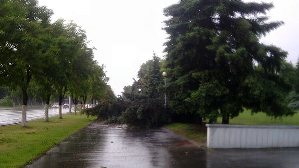 Фотофакт: в воскресенье Гомель «накрыло» дождем → http://odsgomel.org/rus/news/gomel/57315/ (фото) - фото 26 Фотофакт: в воскресенье Гомель «накрыло» дождем → http://odsgomel.org/rus/news/gomel/57315/ (фото) - фото 26
