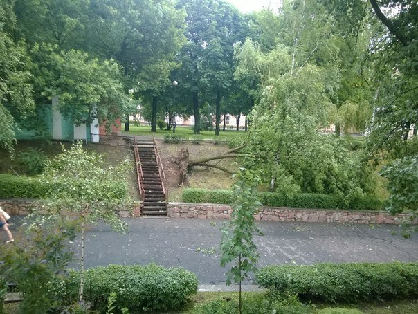 Фотофакт: в воскресенье Гомель «накрыло» дождем → http://odsgomel.org/rus/news/gomel/57315/ (фото) - фото 18 Фотофакт: в воскресенье Гомель «накрыло» дождем → http://odsgomel.org/rus/news/gomel/57315/ (фото) - фото 18