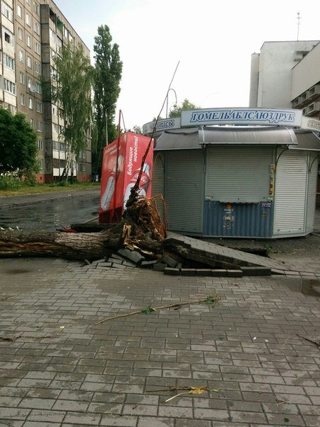 Фотофакт: в воскресенье Гомель «накрыло» дождем → http://odsgomel.org/rus/news/gomel/57315/ (фото) - фото 38 Фотофакт: в воскресенье Гомель «накрыло» дождем → http://odsgomel.org/rus/news/gomel/57315/ (фото) - фото 38
