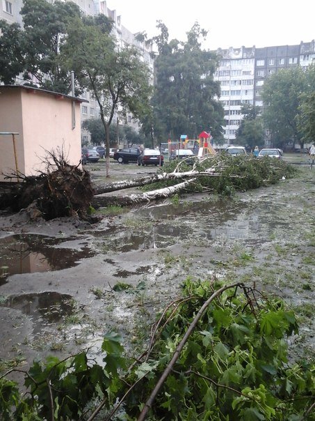 Фотофакт: в воскресенье Гомель «накрыло» дождем → http://odsgomel.org/rus/news/gomel/57315/ (фото) - фото 33 Фотофакт: в воскресенье Гомель «накрыло» дождем → http://odsgomel.org/rus/news/gomel/57315/ (фото) - фото 33