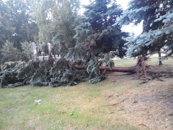 Фотофакт: в воскресенье Гомель «накрыло» дождем → http://odsgomel.org/rus/news/gomel/57315/ (фото) - фото 34 Фотофакт: в воскресенье Гомель «накрыло» дождем → http://odsgomel.org/rus/news/gomel/57315/ (фото) - фото 34