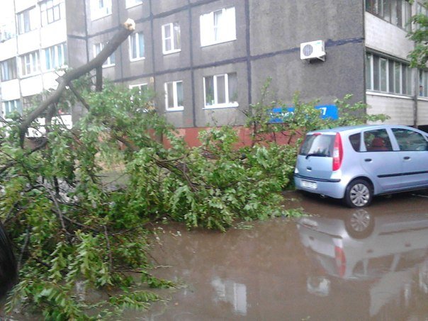 Фотофакт: в воскресенье Гомель «накрыло» дождем → http://odsgomel.org/rus/news/gomel/57315/ (фото) - фото 14 Фотофакт: в воскресенье Гомель «накрыло» дождем → http://odsgomel.org/rus/news/gomel/57315/ (фото) - фото 14