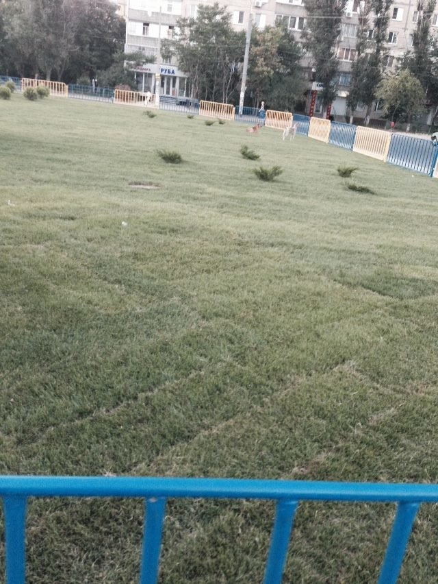круг4 круг4