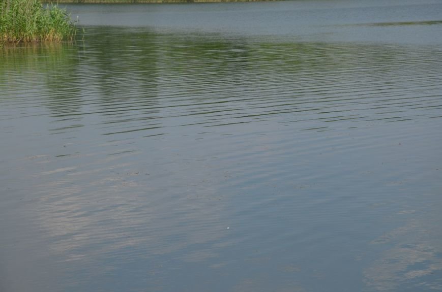 Криворожские активисты очистили дно реки и прибрежную зону на пляже в Терновском районе (ФОТО) (фото) - фото 4