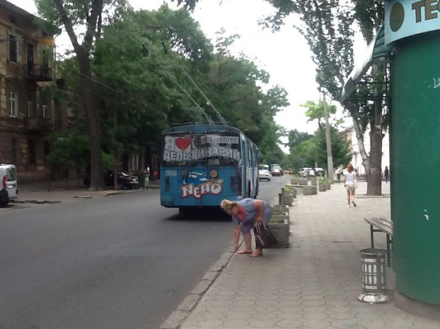 В одесском троллейбусе пассажиры рискуют провалиться в дыру на полу (ФОТОФАКТ) (фото) - фото 1 В одесском троллейбусе пассажиры рискуют провалиться в дыру на полу (ФОТОФАКТ) (фото) - фото 1