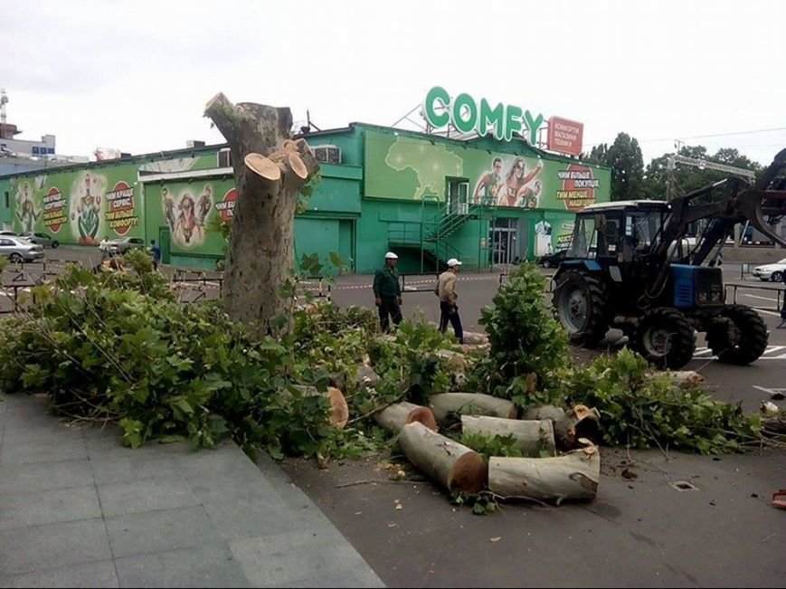 Около одесского торгового центра спилили единственный платан (ФОТО) (фото) - фото 1 Около одесского торгового центра спилили единственный платан (ФОТО) (фото) - фото 1