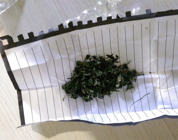 У Кіровограді працівники міліції вилучили у раніше судимого чоловіка зброю та наркотики. ФОТО (фото) - фото 1 У Кіровограді працівники міліції вилучили у раніше судимого чоловіка зброю та наркотики. ФОТО (фото) - фото 1