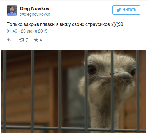 Screenshot - 23.06.2015 - 11:54:35 Screenshot - 23.06.2015 - 11:54:35