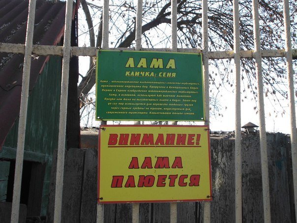 Как выживает луганский зоопарк (ФОТО, ВИДЕО) (фото) - фото 6 Как выживает луганский зоопарк (ФОТО, ВИДЕО) (фото) - фото 6