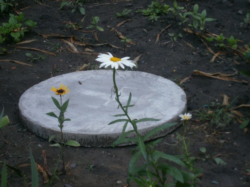 Жители Димитрова приятно удивлены оперативностью горводоканала, но... (фото) - фото 1 Жители Димитрова приятно удивлены оперативностью горводоканала, но... (фото) - фото 1