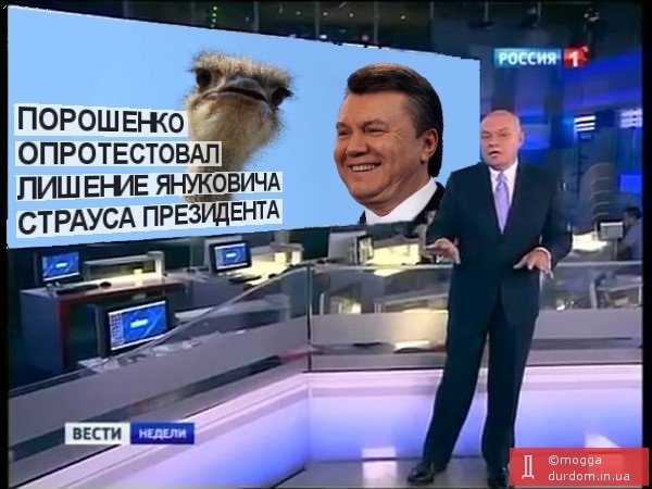 Бензиновый кризис, цены, страусы Януковича, потоп в Сочи - над чем смеялся интернет (фото) - фото 1 Бензиновый кризис, цены, страусы Януковича, потоп в Сочи - над чем смеялся интернет (фото) - фото 1