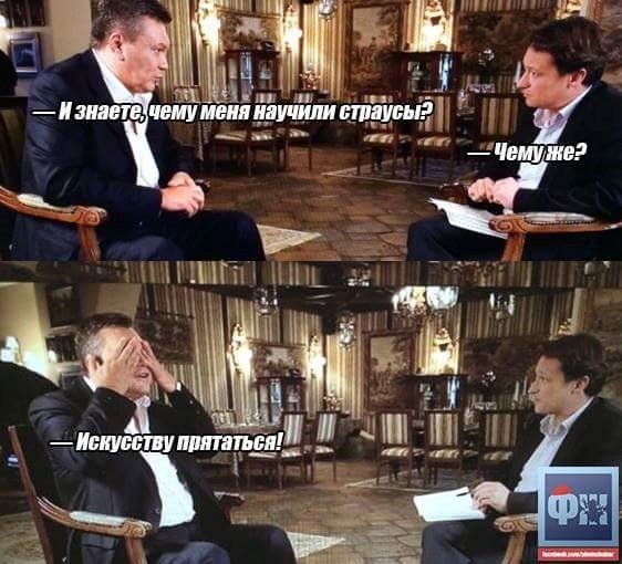 Бензиновый кризис, цены, страусы Януковича, потоп в Сочи - над чем смеялся интернет (фото) - фото 3 Бензиновый кризис, цены, страусы Януковича, потоп в Сочи - над чем смеялся интернет (фото) - фото 3