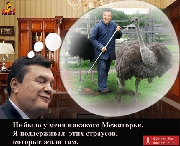 Бензиновый кризис, цены, страусы Януковича, потоп в Сочи - над чем смеялся интернет (фото) - фото 2 Бензиновый кризис, цены, страусы Януковича, потоп в Сочи - над чем смеялся интернет (фото) - фото 2
