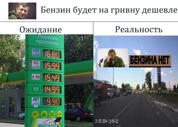 Бензиновый кризис, цены, страусы Януковича, потоп в Сочи - над чем смеялся интернет (фото) - фото 10 Бензиновый кризис, цены, страусы Януковича, потоп в Сочи - над чем смеялся интернет (фото) - фото 10