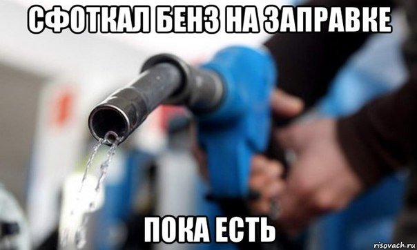 Бензиновый кризис, цены, страусы Януковича, потоп в Сочи - над чем смеялся интернет (фото) - фото 8 Бензиновый кризис, цены, страусы Януковича, потоп в Сочи - над чем смеялся интернет (фото) - фото 8