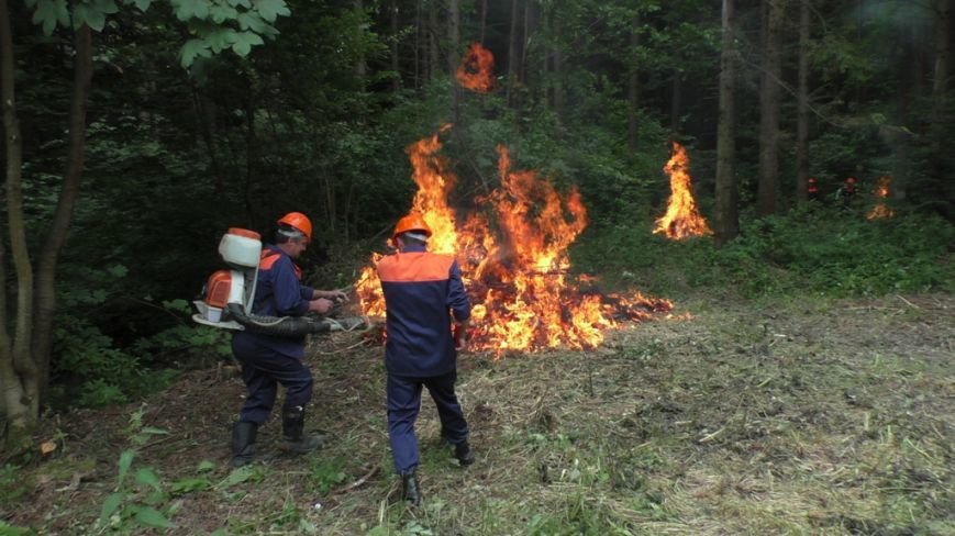 Буковинські рятувальники вчилися гасити масштабну лісову пожежу (ФОТО) (фото) - фото 8 Буковинські рятувальники вчилися гасити масштабну лісову пожежу (ФОТО) (фото) - фото 8