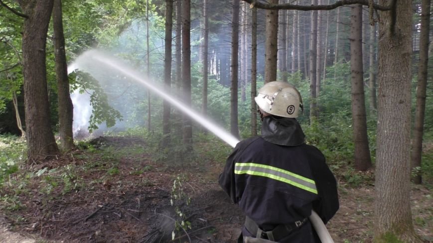 Буковинські рятувальники вчилися гасити масштабну лісову пожежу (ФОТО) (фото) - фото 4 Буковинські рятувальники вчилися гасити масштабну лісову пожежу (ФОТО) (фото) - фото 4