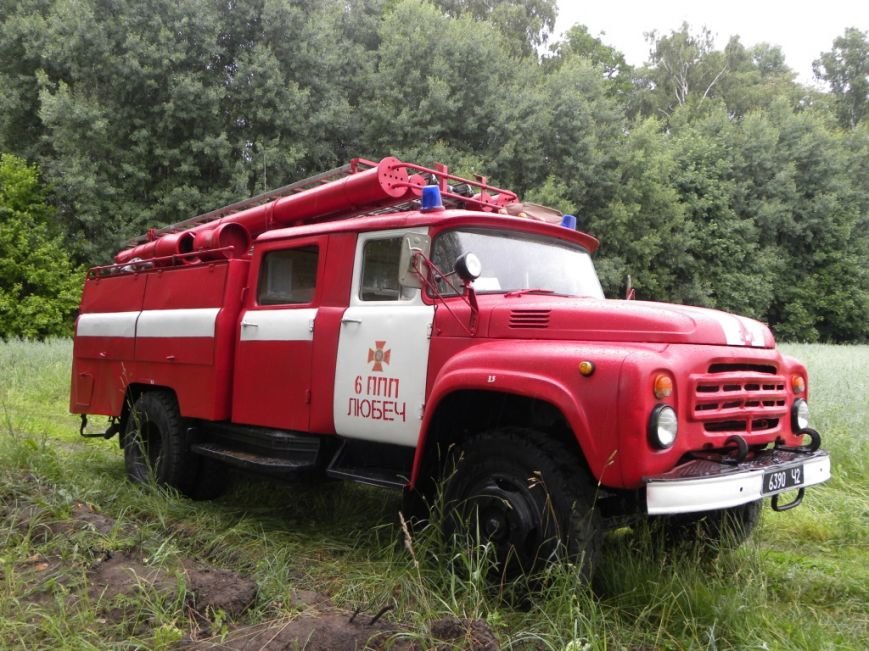 В Черниговской области сожгли 180 свиней (фото) - фото 1 В Черниговской области сожгли 180 свиней (фото) - фото 1