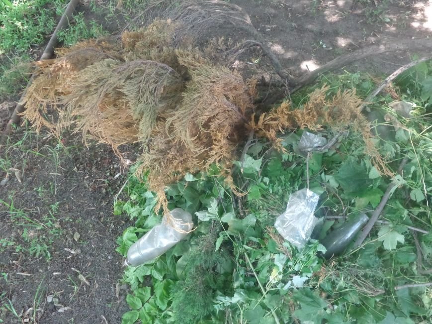 В Красноармейске начата подготовка ко Дню города (фото) - фото 3 В Красноармейске начата подготовка ко Дню города (фото) - фото 3
