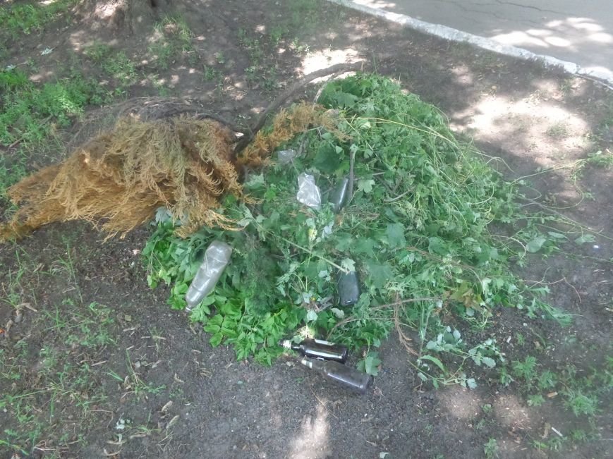 В Красноармейске начата подготовка ко Дню города (фото) - фото 3 В Красноармейске начата подготовка ко Дню города (фото) - фото 3