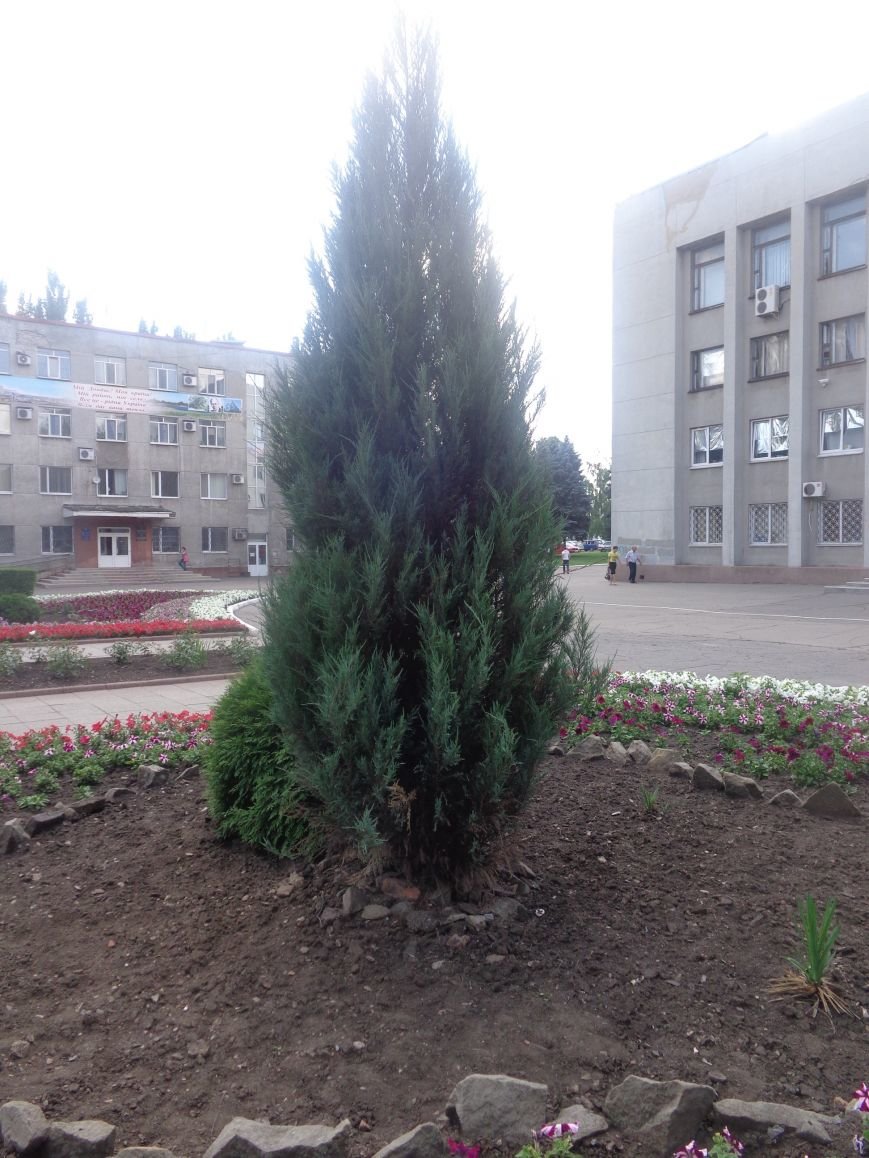 В Красноармейске начата подготовка ко Дню города (фото) - фото 3 В Красноармейске начата подготовка ко Дню города (фото) - фото 3