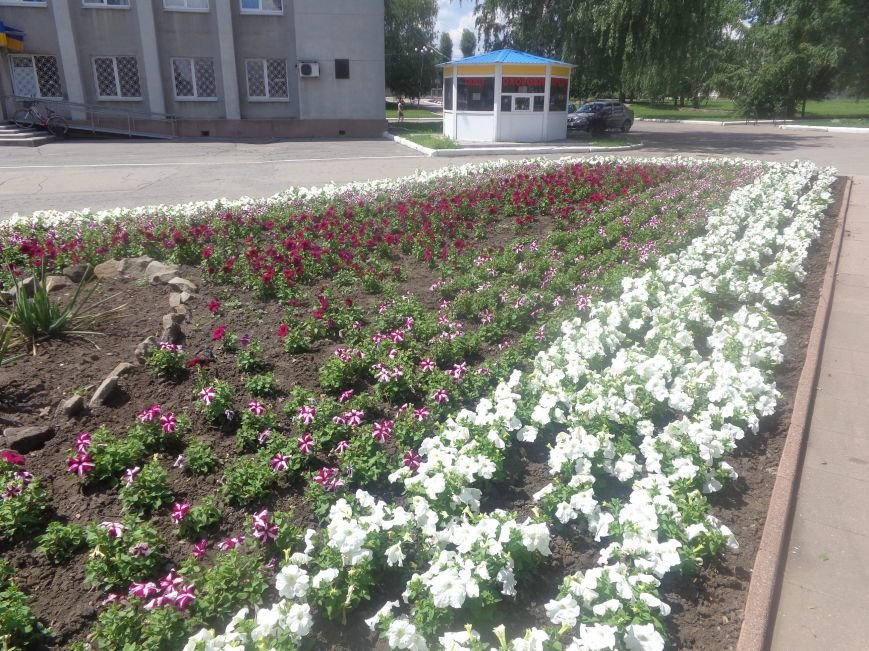 В Красноармейске начата подготовка ко Дню города (фото) - фото 3 В Красноармейске начата подготовка ко Дню города (фото) - фото 3