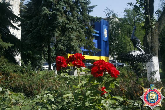 В Мариуполе под стенами главного управления областной милиции «поселились» аисты (ФОТО) (фото) - фото 1 В Мариуполе под стенами главного управления областной милиции «поселились» аисты (ФОТО) (фото) - фото 1
