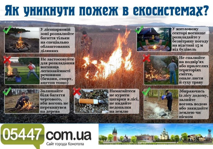 Правила безпеки під час відпочинку в лісі та біля водойм (фото) - фото 2 Правила безпеки під час відпочинку в лісі та біля водойм (фото) - фото 2