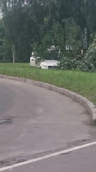 У Львові водій іномарки не впорався із керуванням і врізався в дерево (ФОТО) (фото) - фото 1 У Львові водій іномарки не впорався із керуванням і врізався в дерево (ФОТО) (фото) - фото 1