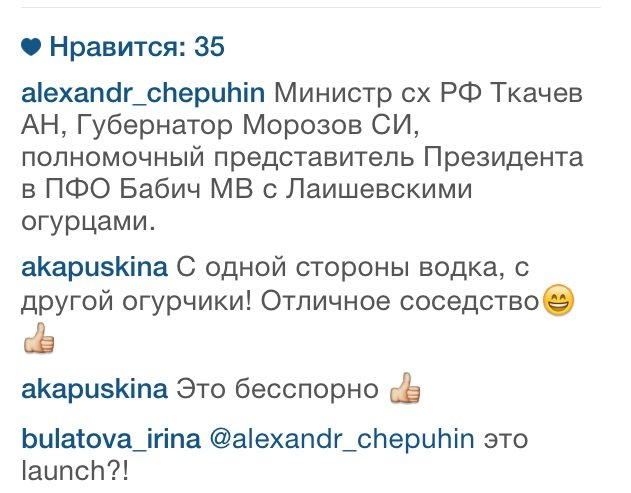 Ульяновские огурчики покорили федерального министра сельского хозяйства. Фото (фото) - фото 1