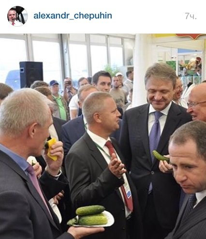 Ульяновские огурчики покорили федерального министра сельского хозяйства. Фото