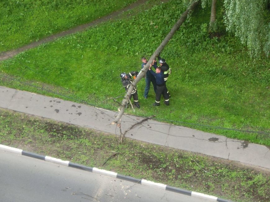 В Троицке рано утром на ул. Центральной упало дерево на проезжую часть 